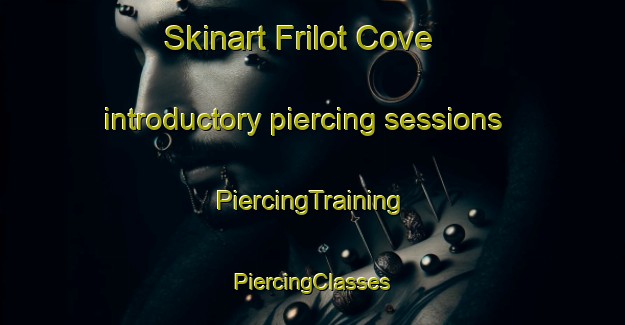 Skinart Frilot Cove introductory piercing sessions | #PiercingTraining #PiercingClasses #SkinartTraining-United States