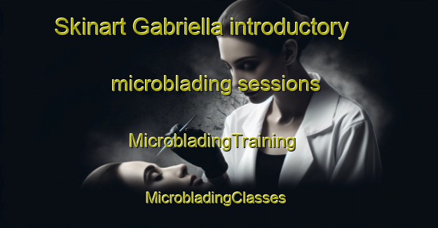 Skinart Gabriella introductory microblading sessions | MicrobladingTraining | MicrobladingClasses | SkinartTraining-United States