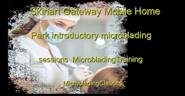 Skinart Gateway Mobile Home Park introductory microblading sessions | #MicrobladingTraining #MicrobladingClasses #SkinartTraining-United States