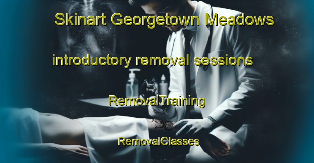Skinart Georgetown Meadows introductory removal sessions | RemovalTraining | RemovalClasses | SkinartTraining-United States