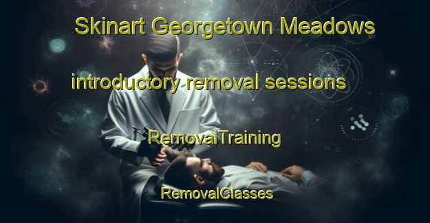 Skinart Georgetown Meadows introductory removal sessions | RemovalTraining | RemovalClasses | SkinartTraining-United States