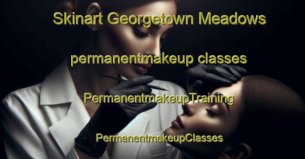 Skinart Georgetown Meadows permanentmakeup classes | #PermanentmakeupTraining #PermanentmakeupClasses #SkinartTraining-United States