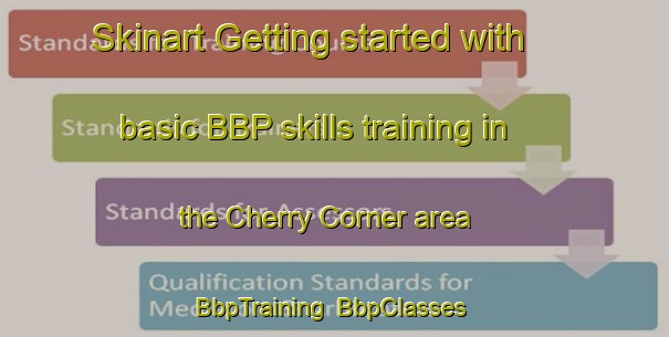 Skinart Getting started with basic BBP skills training in the Cherry Corner area | BbpTraining | BbpClasses | SkinartTraining-United States