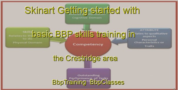 Skinart Getting started with basic BBP skills training in the Crestridge area | BbpTraining | BbpClasses | SkinartTraining-United States
