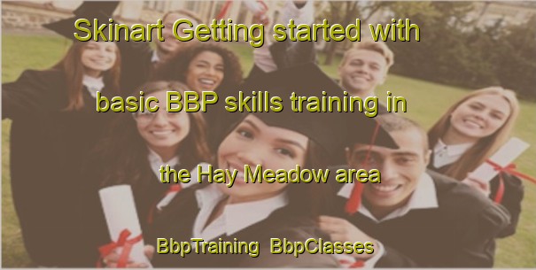 Skinart Getting started with basic BBP skills training in the Hay Meadow area | BbpTraining | BbpClasses | SkinartTraining-United States