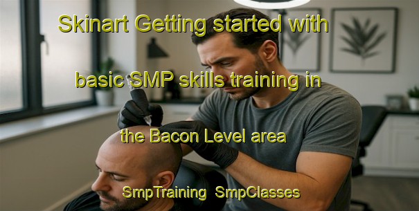 Skinart Getting started with basic SMP skills training in the Bacon Level area | SmpTraining | SmpClasses | SkinartTraining-United States