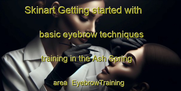 Skinart Getting started with basic eyebrow techniques training in the Ash Spring area | EyebrowTraining | EyebrowClasses | SkinartTraining-United States