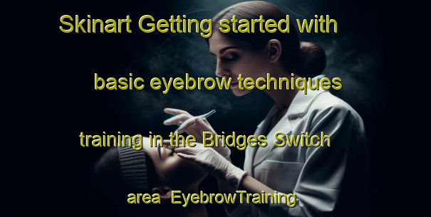 Skinart Getting started with basic eyebrow techniques training in the Bridges Switch area | EyebrowTraining | EyebrowClasses | SkinartTraining-United States