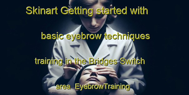 Skinart Getting started with basic eyebrow techniques training in the Bridges Switch area | EyebrowTraining | EyebrowClasses | SkinartTraining-United States