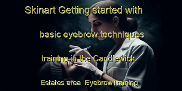 Skinart Getting started with basic eyebrow techniques training in the Candlewick Estates area | EyebrowTraining | EyebrowClasses | SkinartTraining-United States