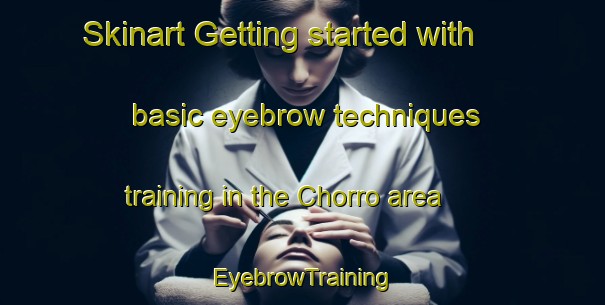 Skinart Getting started with basic eyebrow techniques training in the Chorro area | EyebrowTraining | EyebrowClasses | SkinartTraining-United States