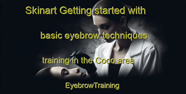 Skinart Getting started with basic eyebrow techniques training in the Codo area | EyebrowTraining | EyebrowClasses | SkinartTraining-United States