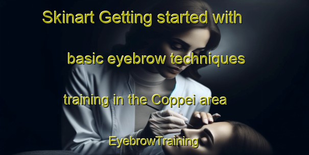 Skinart Getting started with basic eyebrow techniques training in the Coppei area | EyebrowTraining | EyebrowClasses | SkinartTraining-United States