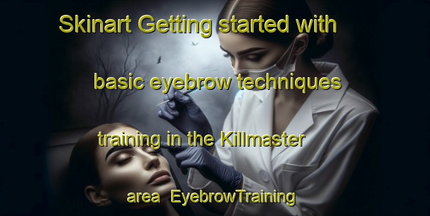 Skinart Getting started with basic eyebrow techniques training in the Killmaster area | EyebrowTraining | EyebrowClasses | SkinartTraining-United States