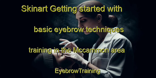 Skinart Getting started with basic eyebrow techniques training in the Mccammon area | EyebrowTraining | EyebrowClasses | SkinartTraining-United States