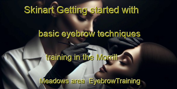 Skinart Getting started with basic eyebrow techniques training in the Morrill Meadows area | EyebrowTraining | EyebrowClasses | SkinartTraining-United States