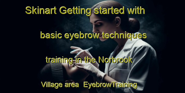 Skinart Getting started with basic eyebrow techniques training in the Norbrook Village area | EyebrowTraining | EyebrowClasses | SkinartTraining-United States