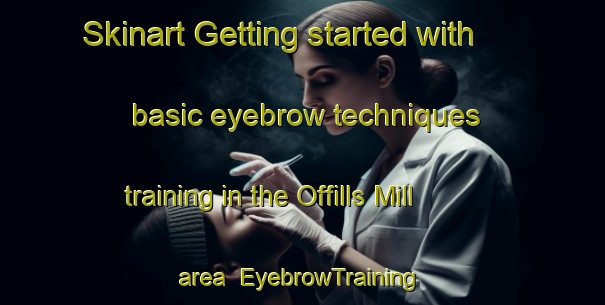 Skinart Getting started with basic eyebrow techniques training in the Offills Mill area | EyebrowTraining | EyebrowClasses | SkinartTraining-United States