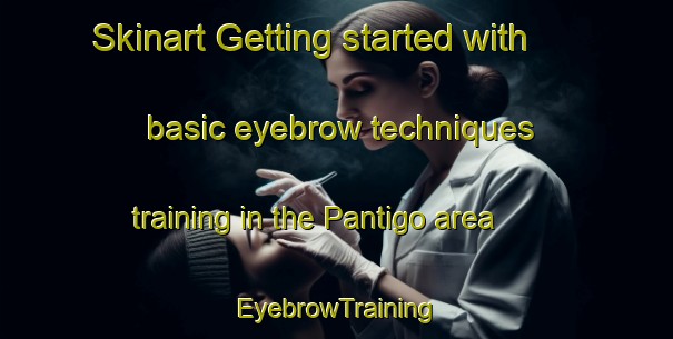 Skinart Getting started with basic eyebrow techniques training in the Pantigo area | EyebrowTraining | EyebrowClasses | SkinartTraining-United States