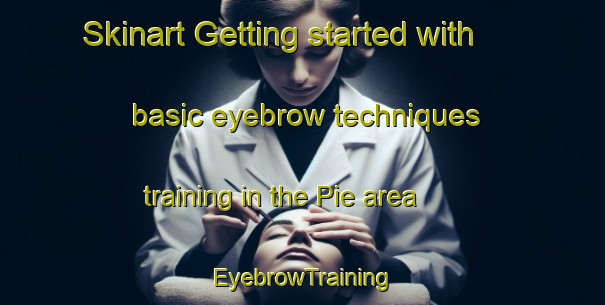 Skinart Getting started with basic eyebrow techniques training in the Pie area | EyebrowTraining | EyebrowClasses | SkinartTraining-United States