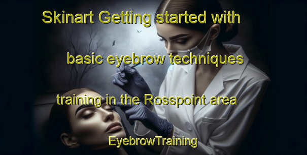 Skinart Getting started with basic eyebrow techniques training in the Rosspoint area | EyebrowTraining | EyebrowClasses | SkinartTraining-United States