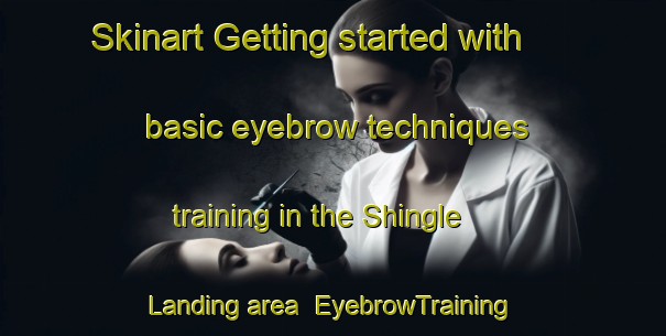 Skinart Getting started with basic eyebrow techniques training in the Shingle Landing area | EyebrowTraining | EyebrowClasses | SkinartTraining-United States