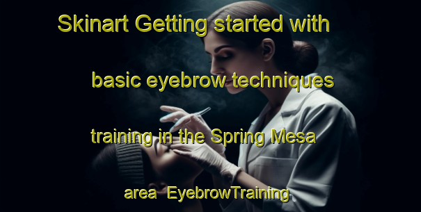 Skinart Getting started with basic eyebrow techniques training in the Spring Mesa area | EyebrowTraining | EyebrowClasses | SkinartTraining-United States