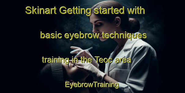 Skinart Getting started with basic eyebrow techniques training in the Teoc area | EyebrowTraining | EyebrowClasses | SkinartTraining-United States