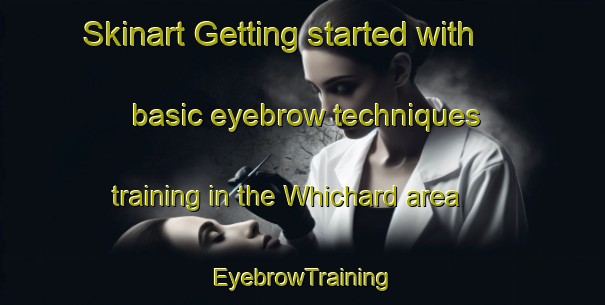 Skinart Getting started with basic eyebrow techniques training in the Whichard area | EyebrowTraining | EyebrowClasses | SkinartTraining-United States