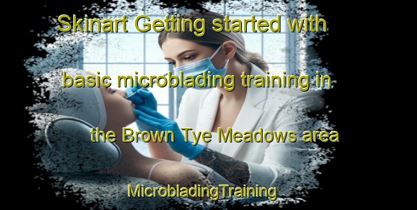 Skinart Getting started with basic microblading training in the Brown Tye Meadows area | MicrobladingTraining | MicrobladingClasses | SkinartTraining-United States