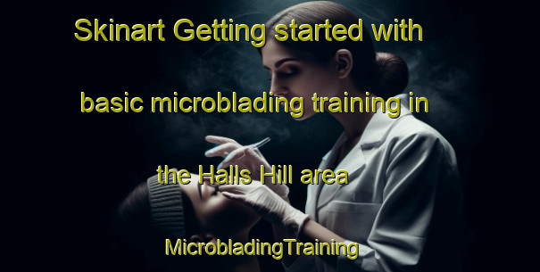 Skinart Getting started with basic microblading training in the Halls Hill area | MicrobladingTraining | MicrobladingClasses | SkinartTraining-United States