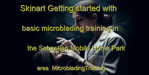 Skinart Getting started with basic microblading training in the Sebastian Mobile Home Park area | MicrobladingTraining | MicrobladingClasses | SkinartTraining-United States
