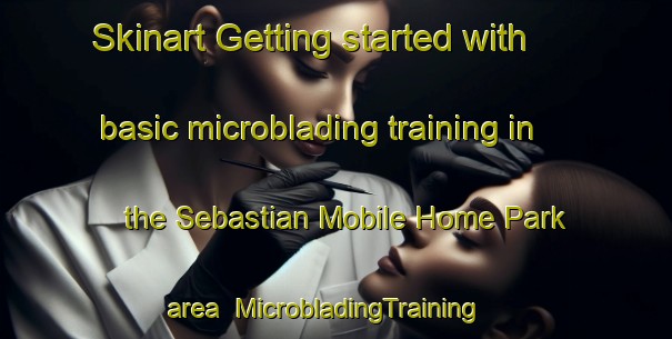 Skinart Getting started with basic microblading training in the Sebastian Mobile Home Park area | MicrobladingTraining | MicrobladingClasses | SkinartTraining-United States