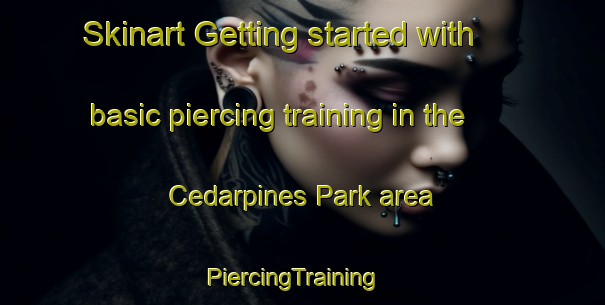 Skinart Getting started with basic piercing training in the Cedarpines Park area | PiercingTraining | PiercingClasses | SkinartTraining-United States