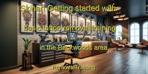 Skinart Getting started with basic tattoo removal training in the Backwoods area | RemovalTraining | RemovalClasses | SkinartTraining-United States