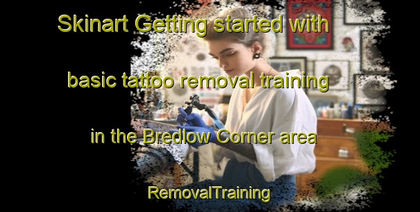 Skinart Getting started with basic tattoo removal training in the Bredlow Corner area | RemovalTraining | RemovalClasses | SkinartTraining-United States