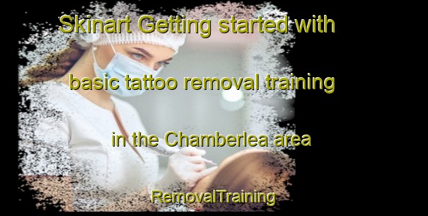 Skinart Getting started with basic tattoo removal training in the Chamberlea area | RemovalTraining | RemovalClasses | SkinartTraining-United States