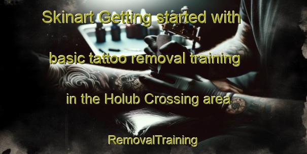 Skinart Getting started with basic tattoo removal training in the Holub Crossing area | RemovalTraining | RemovalClasses | SkinartTraining-United States