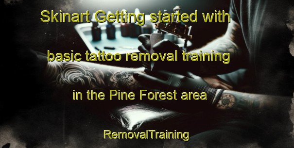 Skinart Getting started with basic tattoo removal training in the Pine Forest area | RemovalTraining | RemovalClasses | SkinartTraining-United States