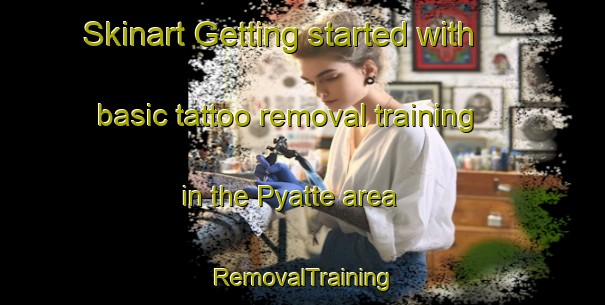 Skinart Getting started with basic tattoo removal training in the Pyatte area | RemovalTraining | RemovalClasses | SkinartTraining-United States