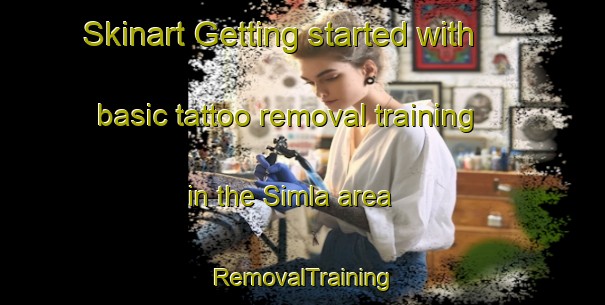 Skinart Getting started with basic tattoo removal training in the Simla area | RemovalTraining | RemovalClasses | SkinartTraining-United States