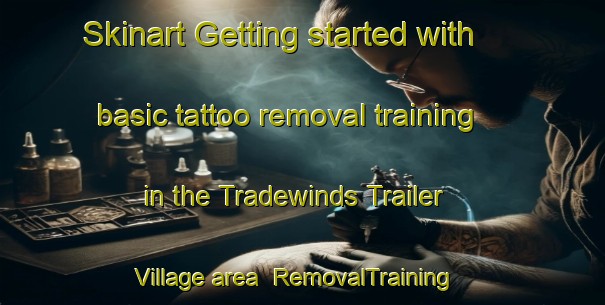 Skinart Getting started with basic tattoo removal training in the Tradewinds Trailer Village area | RemovalTraining | RemovalClasses | SkinartTraining-United States