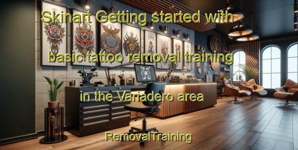 Skinart Getting started with basic tattoo removal training in the Variadero area | RemovalTraining | RemovalClasses | SkinartTraining-United States