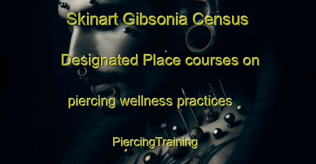 Skinart Gibsonia Census Designated Place courses on piercing wellness practices | #PiercingTraining #PiercingClasses #SkinartTraining-United States