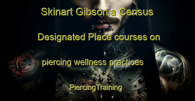 Skinart Gibsonia Census Designated Place courses on piercing wellness practices | #PiercingTraining #PiercingClasses #SkinartTraining-United States