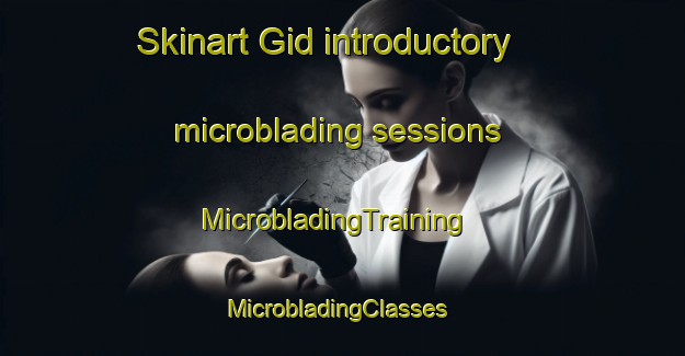 Skinart Gid introductory microblading sessions | MicrobladingTraining | MicrobladingClasses | SkinartTraining-United States