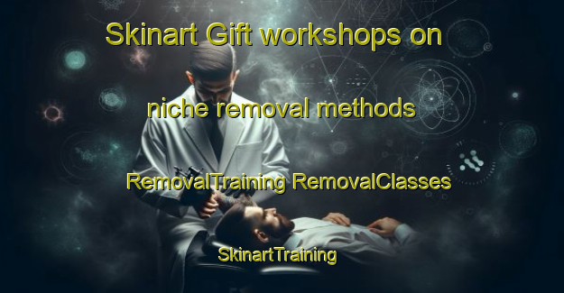 Skinart Gift workshops on niche removal methods | #RemovalTraining #RemovalClasses #SkinartTraining-United States