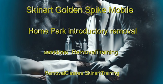 Skinart Golden Spike Mobile Home Park introductory removal sessions | #RemovalTraining #RemovalClasses #SkinartTraining-United States