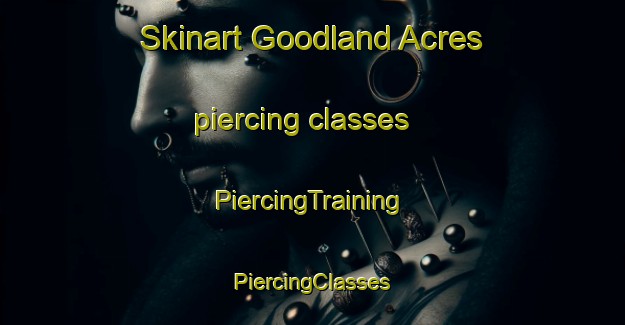 Skinart Goodland Acres piercing classes | #PiercingTraining #PiercingClasses #SkinartTraining-United States