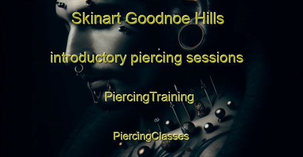 Skinart Goodnoe Hills introductory piercing sessions | #PiercingTraining #PiercingClasses #SkinartTraining-United States